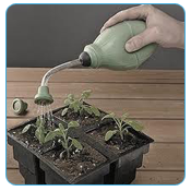 Neerjaal Learning Kit